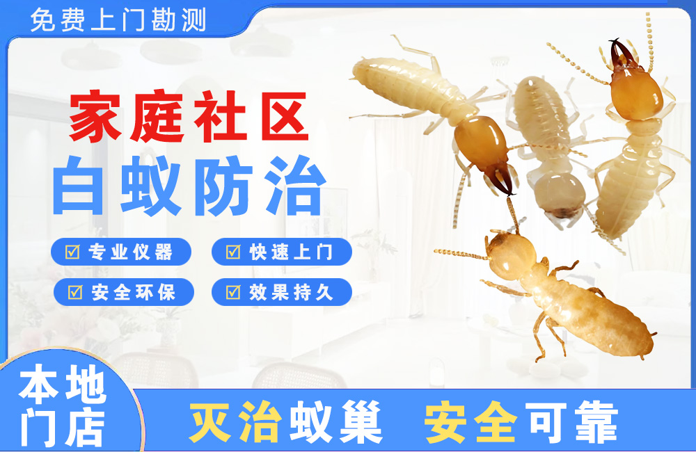萍乡家庭社区白蚁防治
