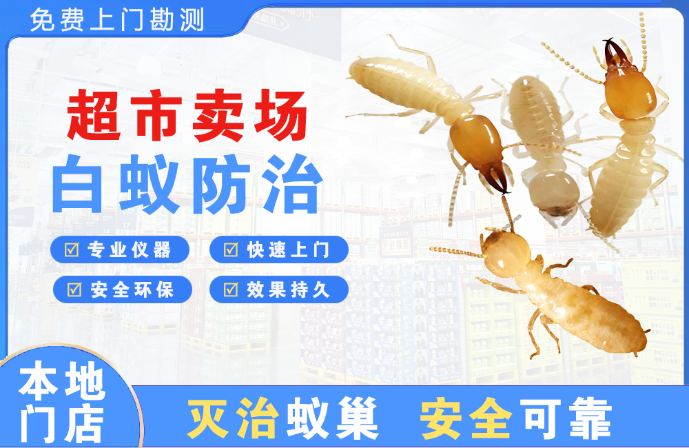 萍乡超市卖场白蚁防治