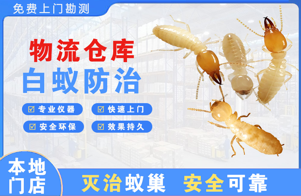萍乡物流仓库白蚁防治