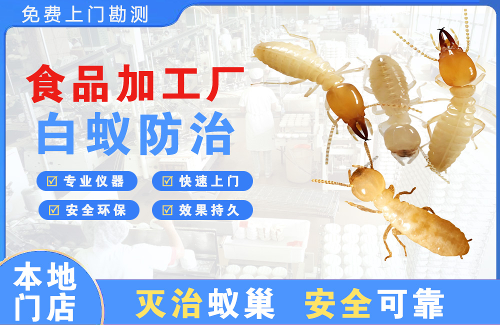 萍乡食品加工厂白蚁防治
