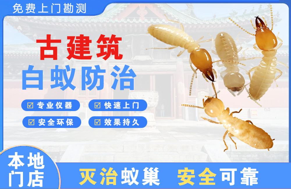 萍乡古建筑白蚁防治