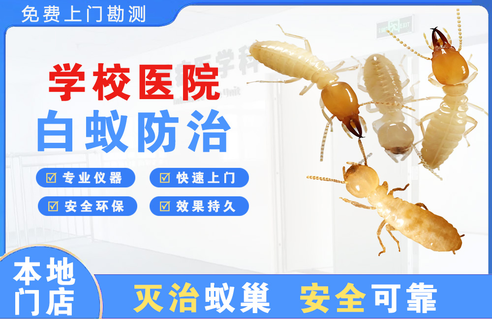 萍乡学校医院白蚁防治