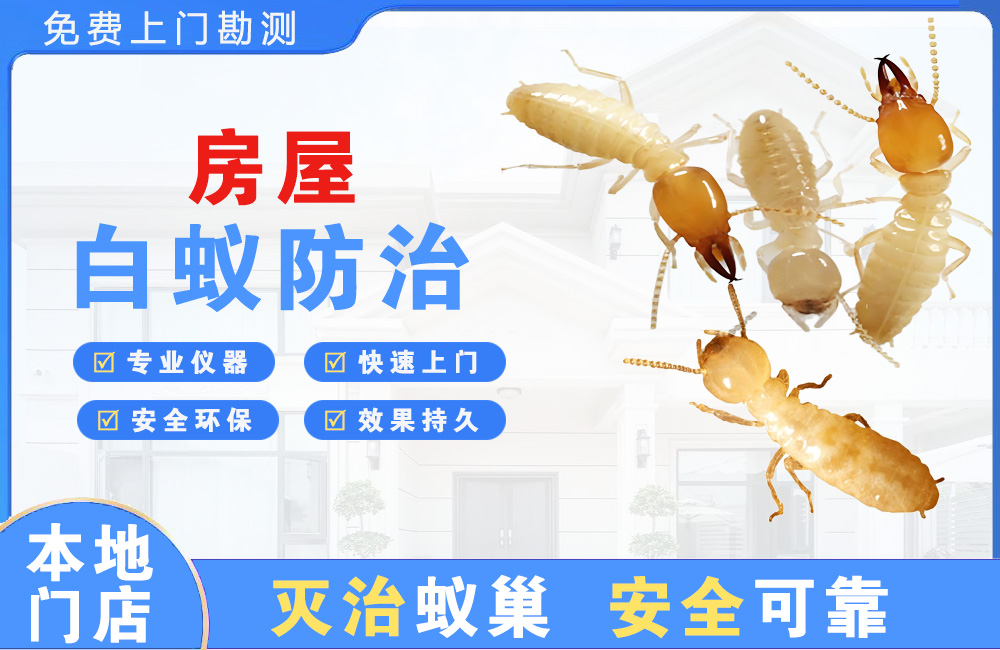 萍乡房屋白蚁防治