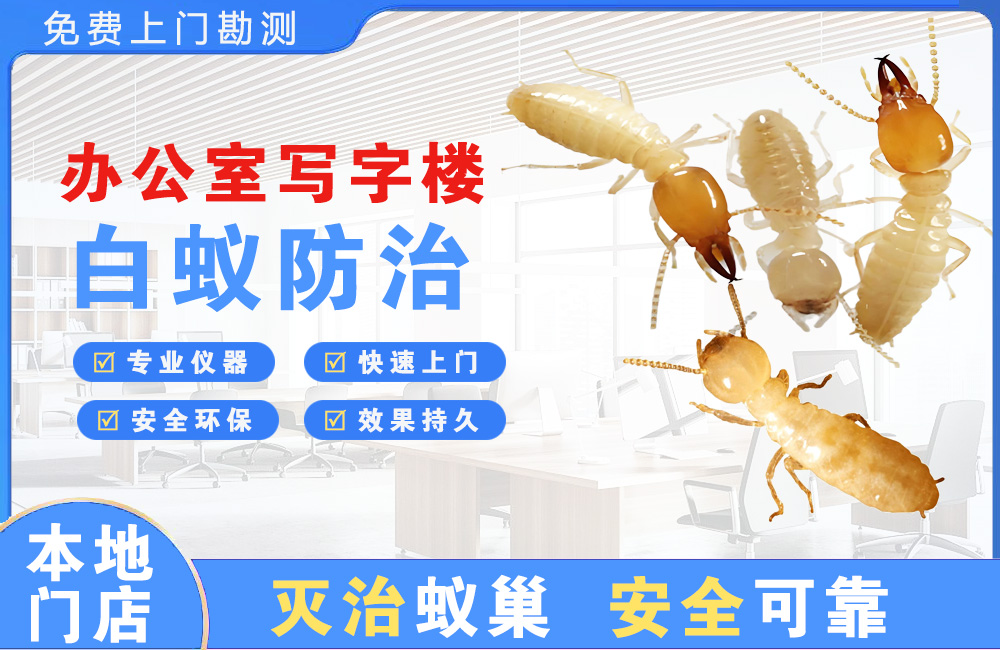 萍乡办公室写字楼白蚁防治
