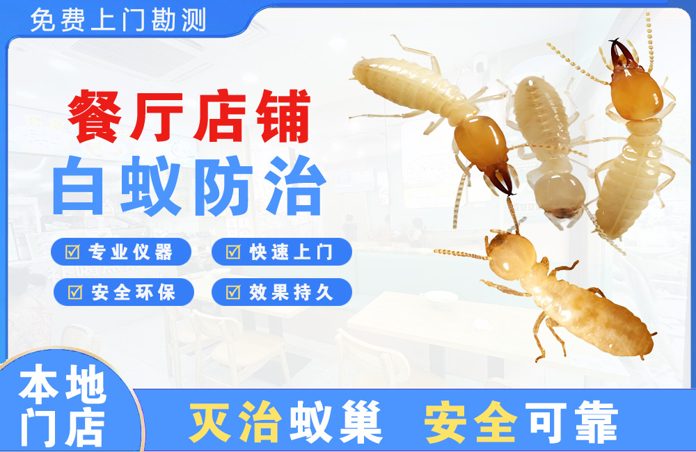 萍乡餐厅店铺白蚁防治